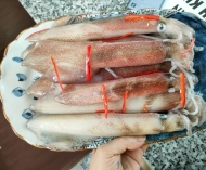 Bán hải sản tươi sống tại Gò Vấp 