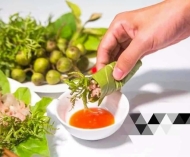 Vì sao gỏi cá lại được nhiều người yêu thích