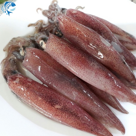 MỰC TRỨNG PHÚ QUỐC