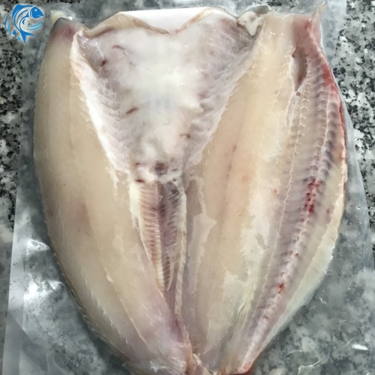 CÁ DỨA BIỂN MỘT NẮNG LOẠI ĐẶC BIỆT